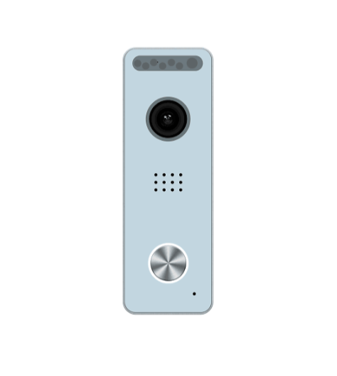 Вызывная панель AltCam VP2k2i