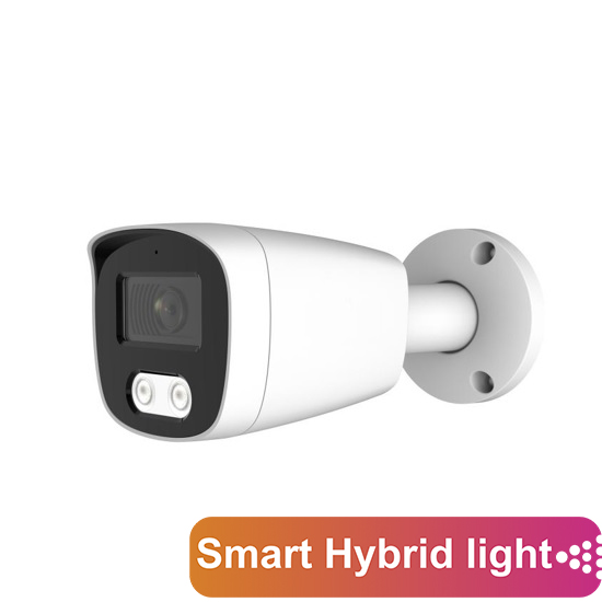 IP Видеокамера AltCam ICF25IR(RU)