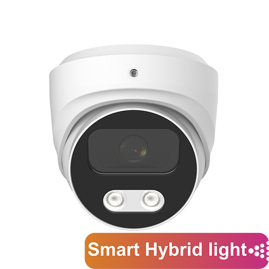 IP Видеокамера AltCam IDMF25IR(RU)